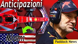 Anticipazioni GP Miami  Ferrari e Newey  Live [upl. by Iretak551]