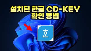 설치된 한글 제품키 CDKEY 확인방법  시디키 확인 How to check installed Korean product key CDKEY [upl. by Englis58]