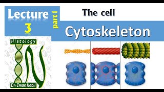 3aCytoskeleton part1CellHistology [upl. by Pega]