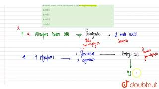 Consider the following statements with respect to the flowering plants and choose the correct op [upl. by Hubbard]