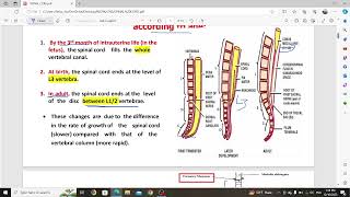 CNS Anatomy  Spinal Cord  Part 1 Mutah [upl. by Schuyler919]