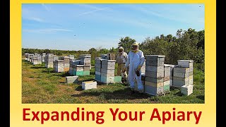 Expanding Your Apiary Part 1 [upl. by Hpotsirhc]