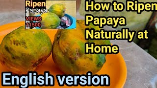 How to Ripen Papaya Naturally at Home FasterHow to Reach Ripe Papaya PerfectionRipe Papaya Organic [upl. by Akinehc694]