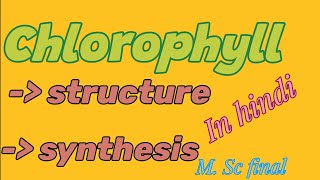 chlorophyll🥬  structure and synthesisM Sc final  in hindi😇 [upl. by Flaherty465]