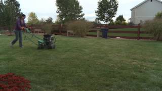 Lawn Care  Raking vs Aerating [upl. by Hoy]