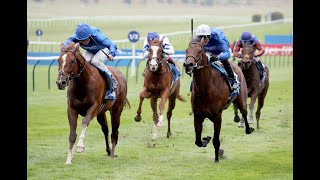 SHADOW OF LIGHT makes history for Charlie Appleby in the 2024 Dewhurst Stakes [upl. by Anes505]