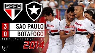 São Paulo 3x0 Botafogo  2014  PATO LUÍS FABIANO E GANSO COMANDAM O SHOW NA ESTREIA DO BRASILEIRÃO [upl. by Conover]