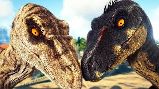 HUNTED by Rare Jurassic Park 3 Raptors New Aquatic Hybrid  Ark Survival Evolved [upl. by Nomaid398]