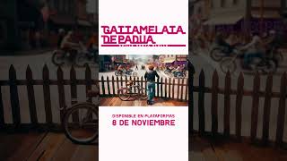 Gattamelata de Padua  8 de noviembre shorts canciones musicaindie [upl. by Sorazal]