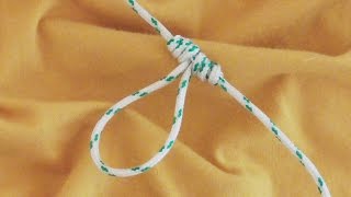 Learn How To Tie The Dropper Loop Fishing Knot  WhyKnot [upl. by Eiduj293]