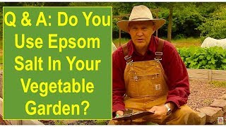 Q amp A Do You Use Epsom Salt In Your Vegetable Garden [upl. by Beverly]