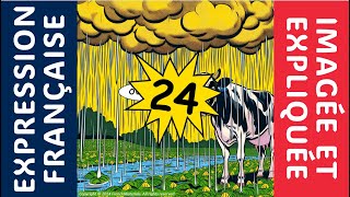 Il pleut comme vache qui pisse  245  Expression Française Imagée et Expliquée [upl. by Eibbed922]