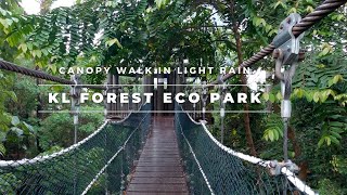 KL Forest Eco Park  Canopy Walk in Light Rain [upl. by Eneloc]