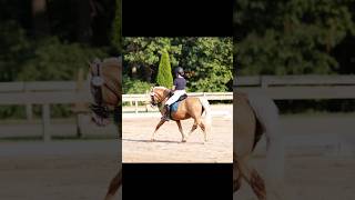 Waterloo Dressage show 2024 August pics🦄💙⭐️ [upl. by Yffub]