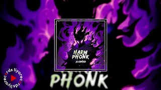 AvciL amp MIEYNA  HARM PHONK SLOWED Official Audio [upl. by Trudnak]