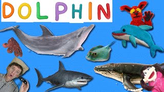 Learning 7 Real Sea Creatures  First Words Song 14 DOLPHIN  Matt Vs Crab Learn English Kids [upl. by Gennaro528]