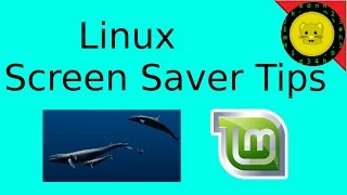 Linux Screen Saver Tips [upl. by Gunar]