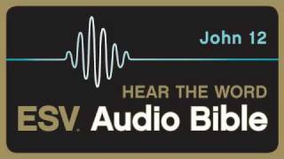 ESV Audio Bible Gospel of John Chapter 12 [upl. by Ecirbaf]