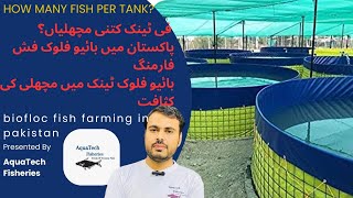 Fish Density In BioFloc Tank  Biofloc Fish Farming in Pakistan  پاکستان میں بائیو فلوک فش فارمنگ [upl. by Goss]