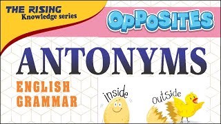 opposites antonyms for class 678910 grammar [upl. by Landan309]