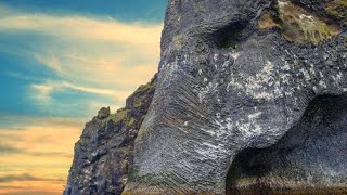 Un elefante marino gigante emerge dalloceano lincredibile opera della natura [upl. by Eynttirb]