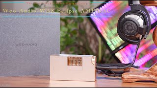 Woo Audio WA8 Eclipse Headphone Tube Amplifier and DAC with the HD800s a heavenly headphone pairing [upl. by Yate933]