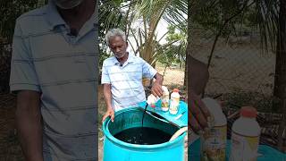 Humic Acid Liquid Fertilizer for fruiting trees organicfarming organic [upl. by Ihcehcu]