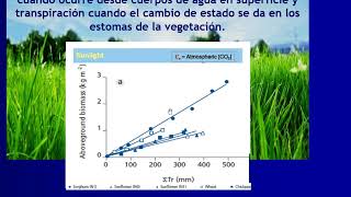 Clase Evapotranspiración y Balance hídrico UNVM [upl. by Ailimaj698]