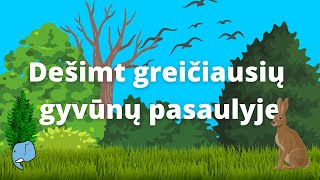 Dešimt greičiausių gyvūnų pasaulyje🐯  Edukaciniai filmukai vaikams🐘 [upl. by Rollin]