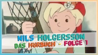 Nils Holgersson ★ Hörbuch deutsch für Kinder ★ Folge 1 [upl. by Glenine682]