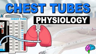 Chest Tube Physiology Review [upl. by Inej]