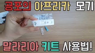 쿵티비vlog말라리아 증상 테스트 키트 자가진단 및 사용법 Malaria test kit description [upl. by Eicyal]