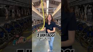 3 VANTAGGI DI AVERE I NOSTRI TAPPETI IN GOMMA 😍🐄 vantaggi cliente tappetiinnovazione [upl. by Noletta174]