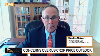 Top Calls US Crop Price Outlook Concerns [upl. by Roque]