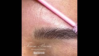 Realistic nano hair stroke brows [upl. by Grier]