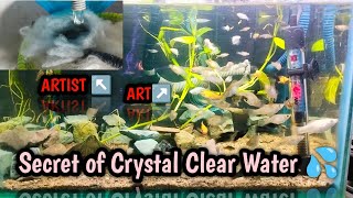 Secret of Crystal Clear Aquarium Water 💦 [upl. by Han709]