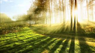 10 Hours Relaxing Music for Stress Relief  Relaxation Music Therapy for Stress Relief Healing [upl. by Jehanna]