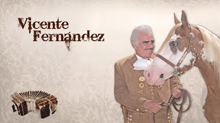 Vicente Fernández  Mano a Mano [upl. by Rocker]