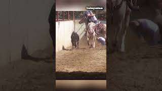 Carreras Toro VS Caballo  Tulare California telepaisashorts [upl. by Swainson]