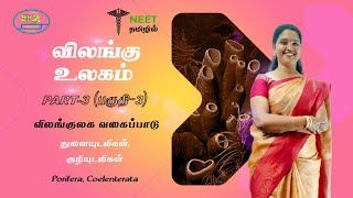 Animal Kingdom  Part 3  Porifera  Coelenterate  NEET Tamil  NEET Biology [upl. by Aihsik]