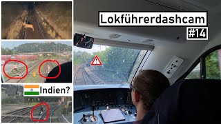 Dashcam Lokführer 14  Zustände wie in Indien und viele Tiere [upl. by Voorhis]