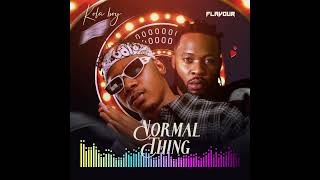 Kolaboy  Normal Thing feat Flavour Audio [upl. by Schach]