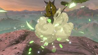 Korok seeds  Nette Plateau  Lake Tower 81  Zelda BOTW [upl. by Duile65]