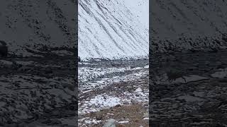 IBEX Herd Crossing Road and River at Skardu Pakistan [upl. by Nylinnej]