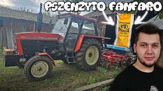 Siejemy Pszenżyto FANFARO😍2K URSUS 902 amp ISARIA 600S🎥★quotOczami Tanasaquot54㋡ MafiaSolecTeam🚜 [upl. by Varini]