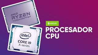 COMPARACION Y DIFERENCIA ENTRE AMD RYZEN 5 Y INTEL CORE I5 ¿CUAL DEBO COMPRAR [upl. by Jeffery]