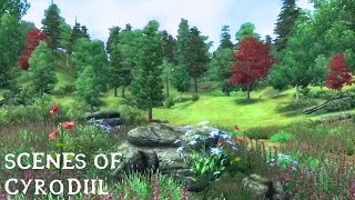 Scenes Of Cyrodiil  Oblivion Music and Ambience  Relax  Study  Sleep [upl. by Doak]