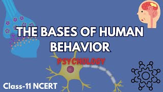 PSYCHOLOGY Class 11th NCERT  Chapter3  The Bases of Human Behavior [upl. by Whipple]