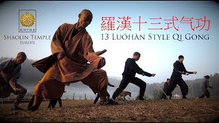 羅漢十三式气功 · 13 Luohan Style Qi Gong [upl. by Imogene]