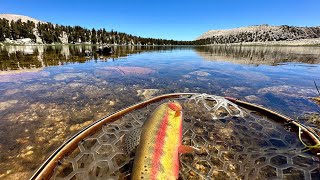 South Fork Lakes fishing for Golden Trout 2024 [upl. by Suoiradal]